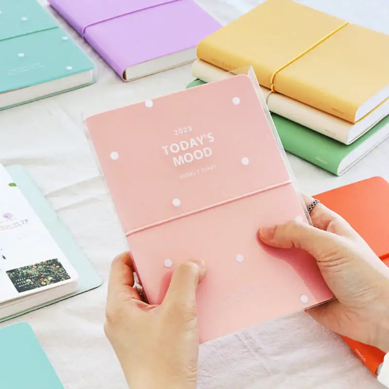 INDIGO - 2023 Today's Mood Weekly Diary B6 - INDIGO - Diary - Harumio