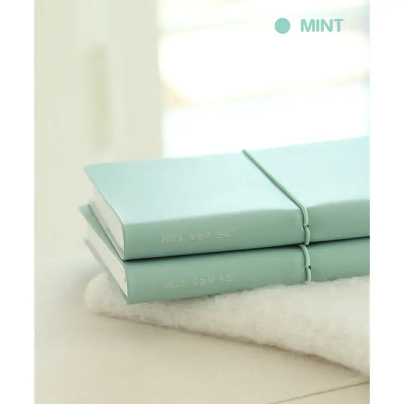 INDIGO - 2023 Today's Mood Weekly Diary B6 - INDIGO - Diary - Harumio