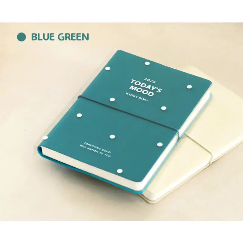 INDIGO - 2023 Today's Mood Weekly Diary B6 - INDIGO - Diary - Harumio