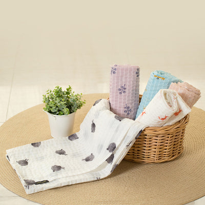 Little Fennec - Stroller Seat Pad & Asariple Blanket Set
