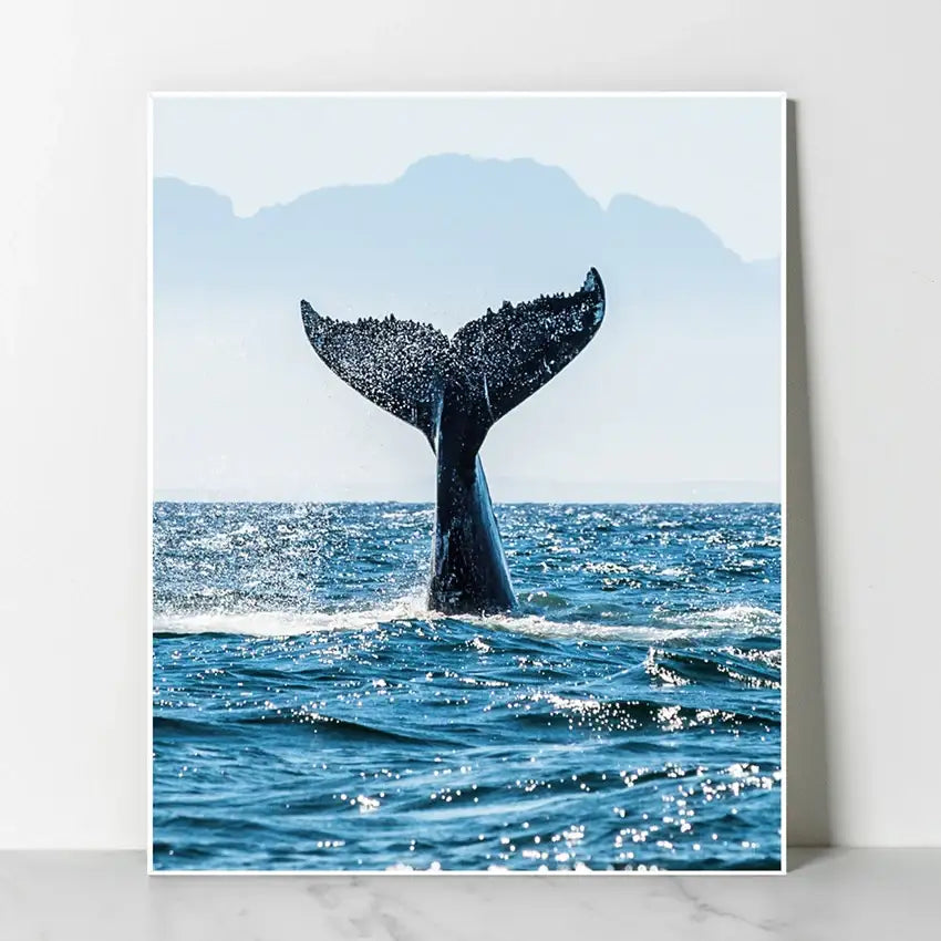 SD Photo - Dubitnari Whale Panting (Inspired by Extraordinary Attorney Woo) - SD Photo - Home & Living, Accessories - Harumio