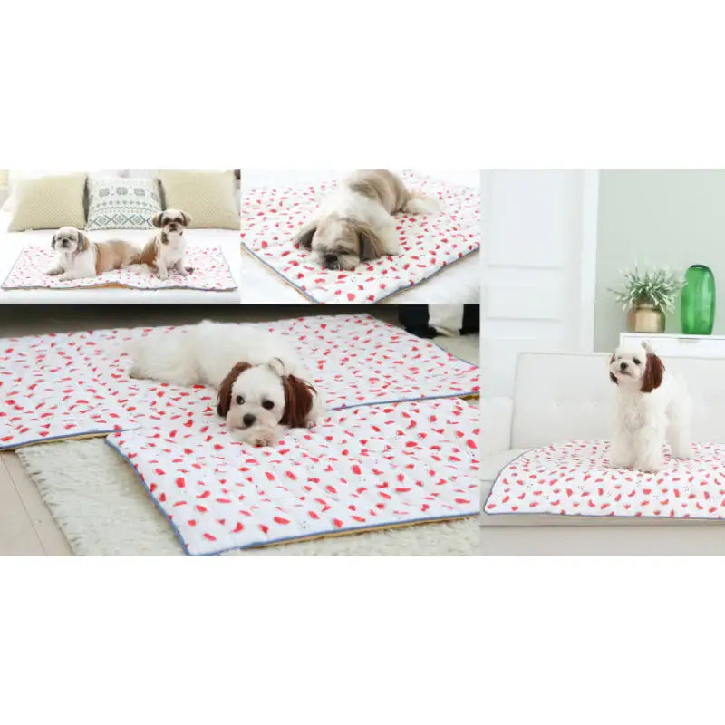 ITSDOG - Dog Cooling Mat - ITSDOG - Pet Accesories - Harumio