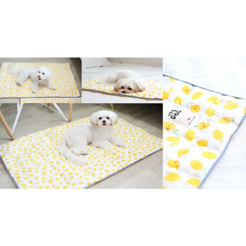 ITSDOG - Dog Cooling Mat - ITSDOG - Pet Accesories - Harumio