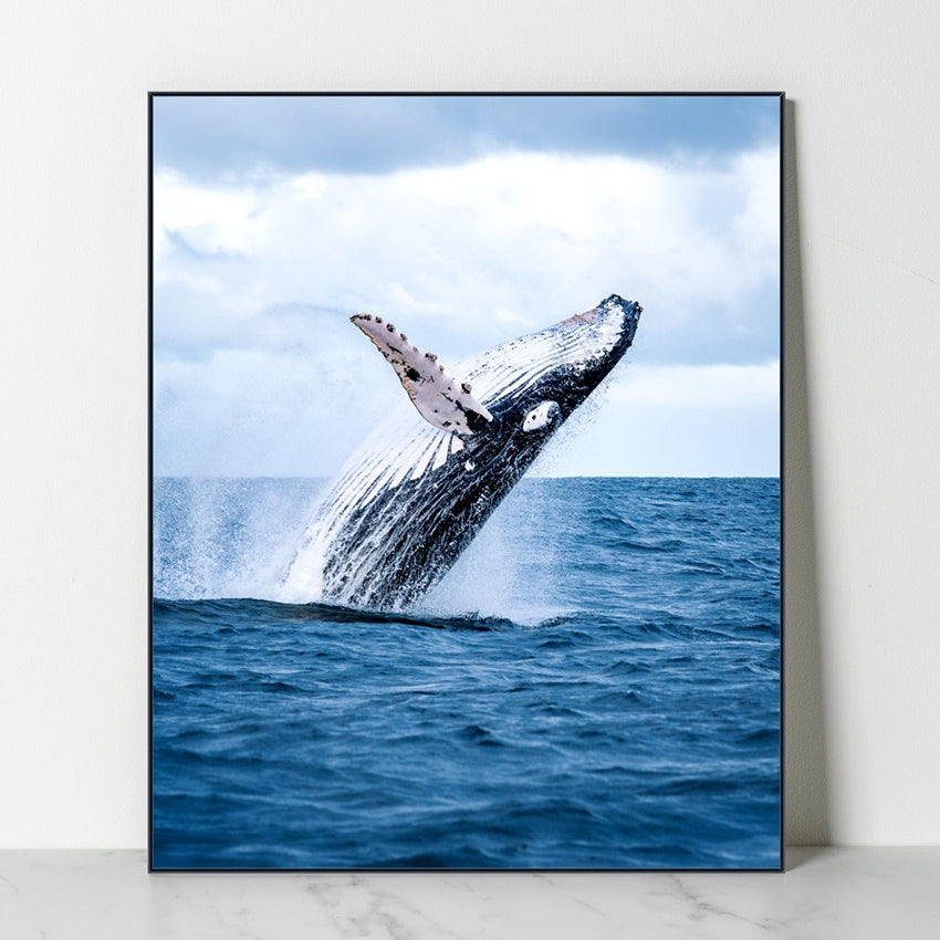 SD Photo - Swell Whale Panting (Inspired by Extraordinary Attorney Woo)