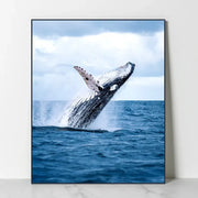 SD Photo - Swell Whale Panting (Inspired by Extraordinary Attorney Woo) - SD Photo - Home & Living, Accessories - Harumio