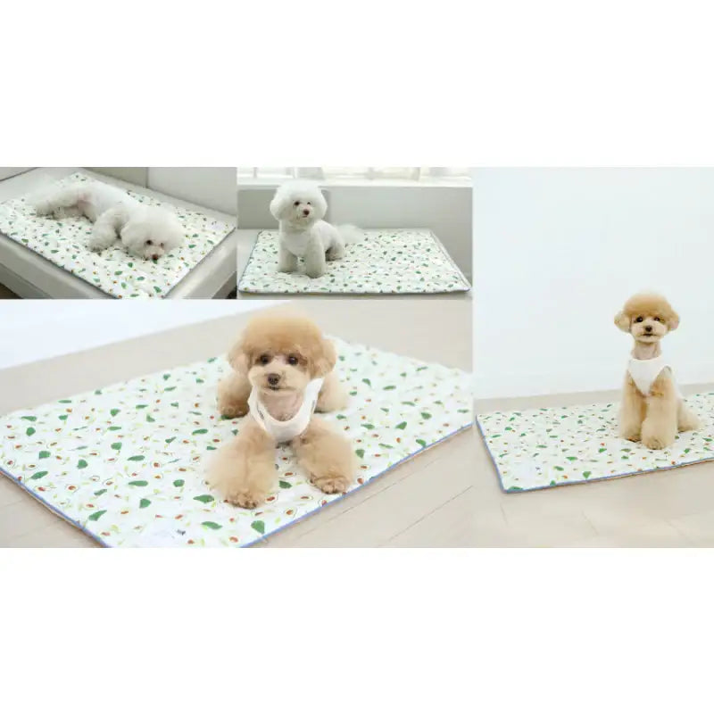 ITSDOG - Dog Cooling Mat - ITSDOG - Pet Accesories - Harumio