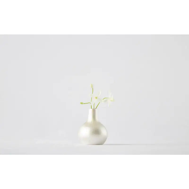 Chaora - Silver Vase - Chaora - Tableware - Harumio