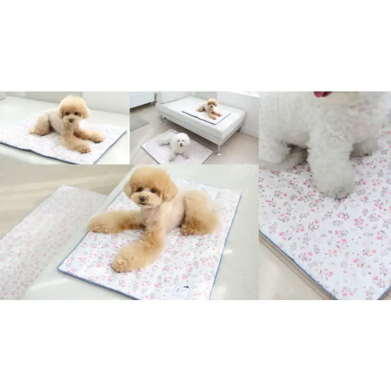 ITSDOG - Dog Cooling Mat - ITSDOG - Pet Accesories - Harumio