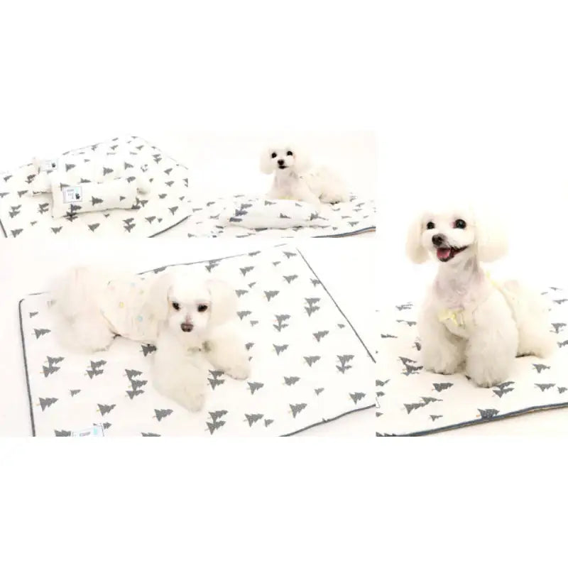 ITSDOG - Dog Cooling Mat - ITSDOG - Pet Accesories - Harumio