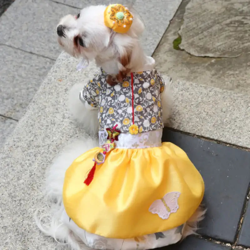 ITSDOG - Pet Marigold Princess Hanbok - ITSDOG - Pet Clothes - Harumio