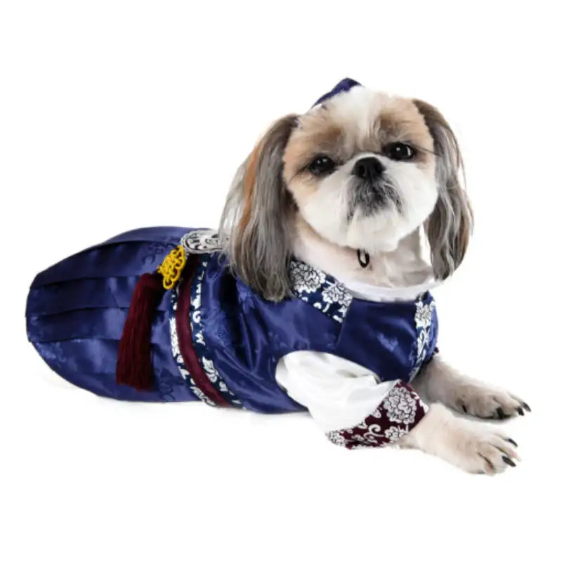 ITSDOG - Prince Soohyun Hanbok - ITSDOG - Pet Clothes - Harumio