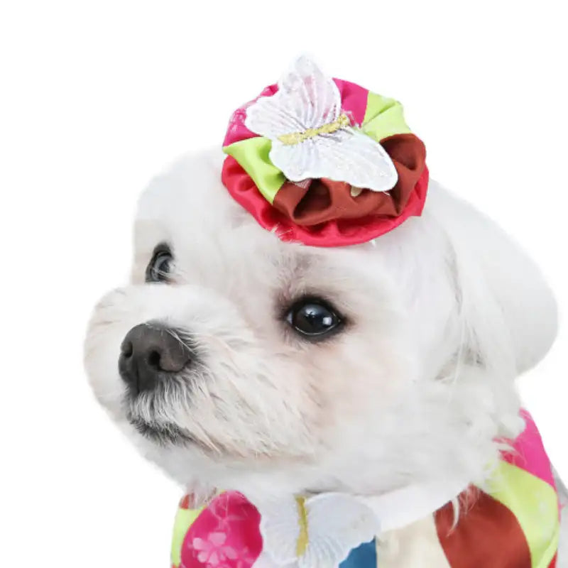 ITSDOG - Pet Butterfly Female Hanbok Headband - ITSDOG - Pet Accesories - Harumio