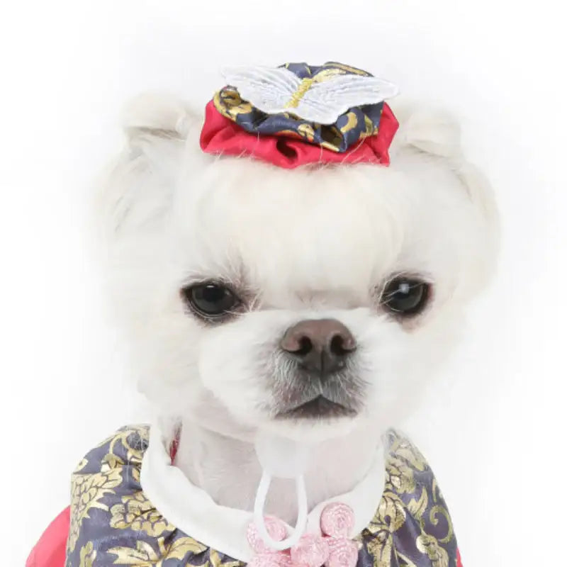 ITSDOG - Pet Butterfly Female Hanbok Headband - ITSDOG - Pet Accesories - Harumio