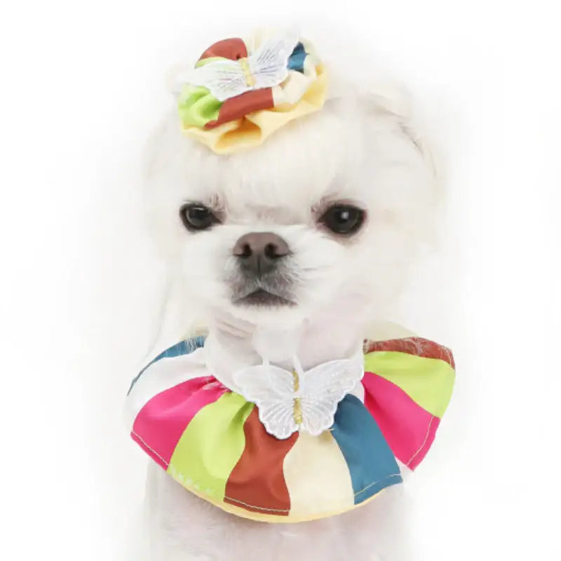 ITSDOG - Pet Colorful Butterfly Hanbok Cape - ITSDOG - Pet Accesories - Harumio