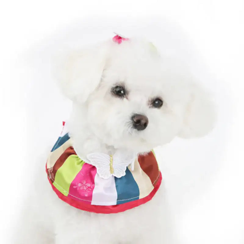 ITSDOG - Pet Colorful Butterfly Hanbok Cape - ITSDOG - Pet Accesories - Harumio