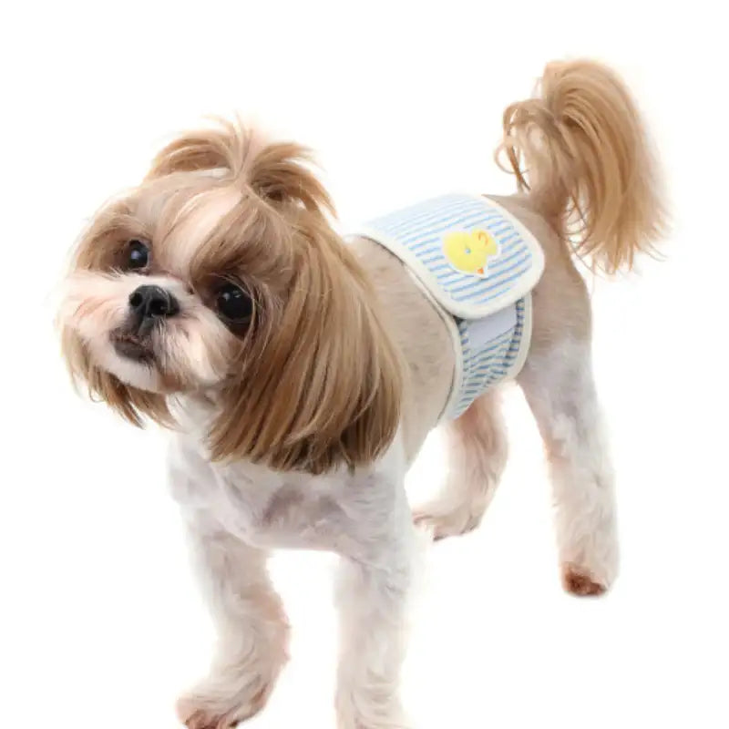 ITSDOG - Pet Dog Organic Chick Manner Belt - ITSDOG - Pet Clothes - Harumio
