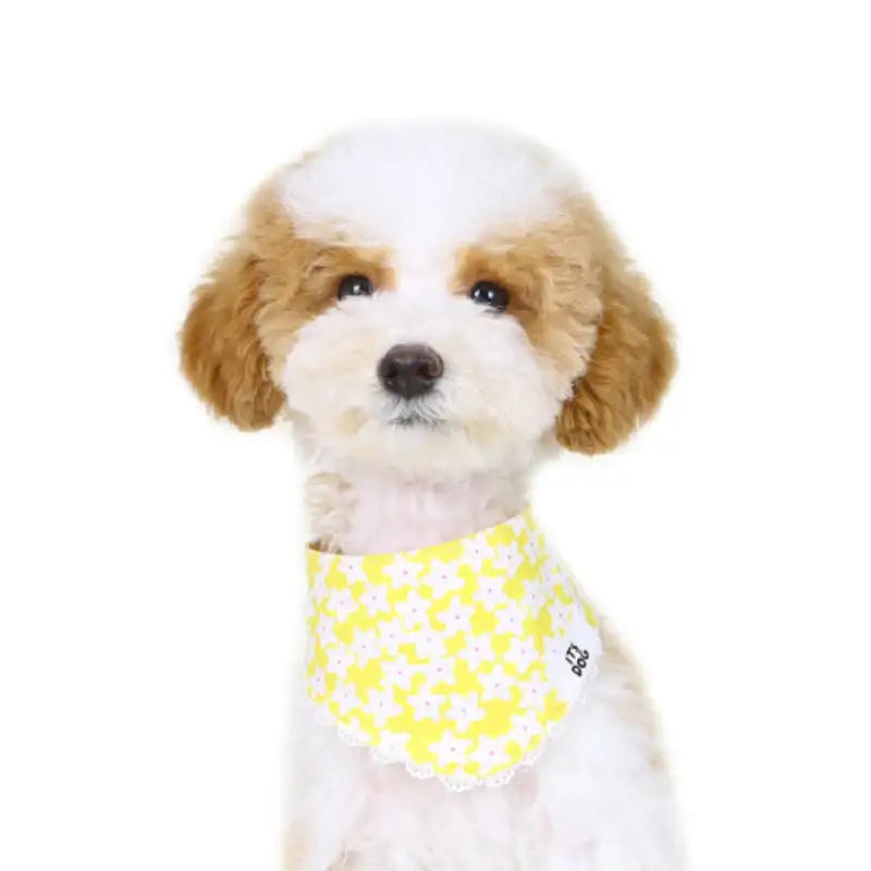ITSDOG - Pet Blooming Scarf - ITSDOG - Pet Accesories - Harumio