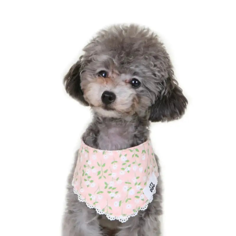 ITSDOG - Pet Blooming Scarf - ITSDOG - Pet Accesories - Harumio
