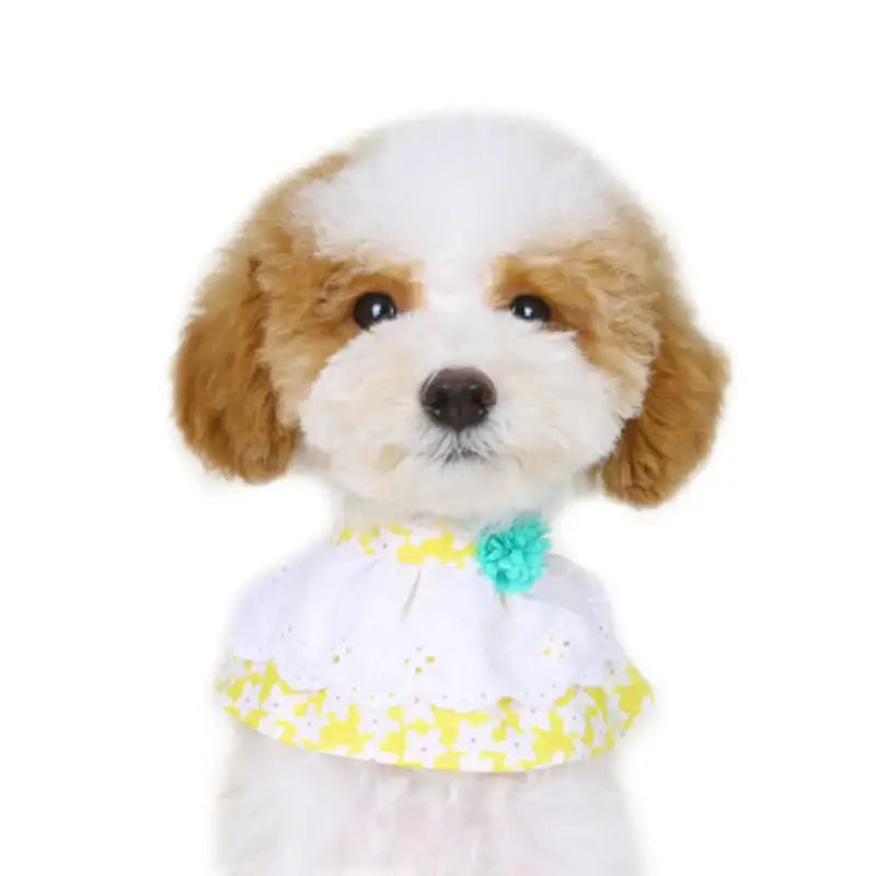 ITSDOG - Pet Blooming Cape - ITSDOG - Pet Accesories - Harumio