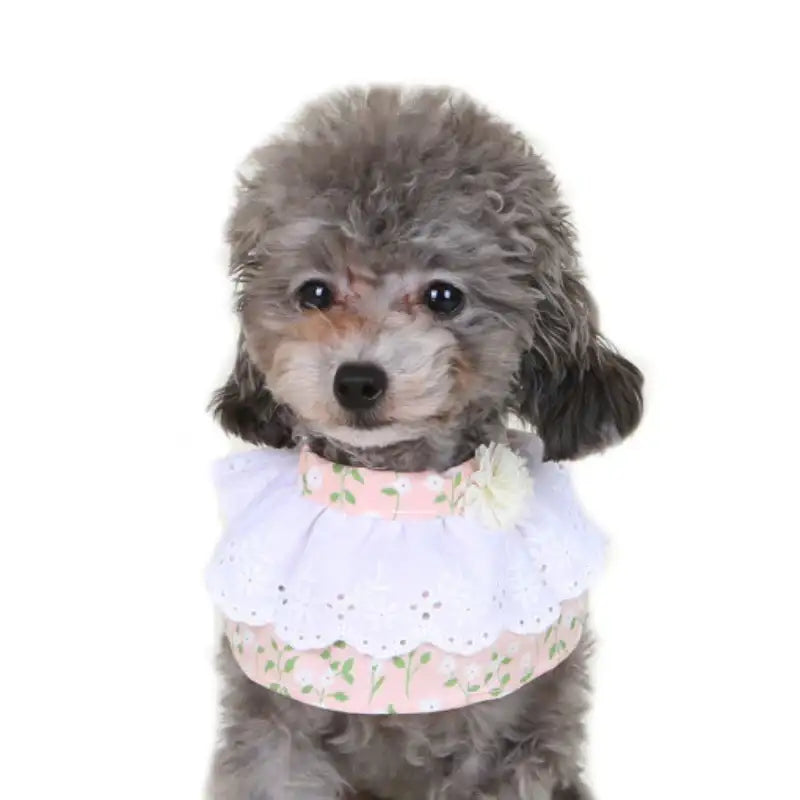 ITSDOG - Pet Blooming Cape - ITSDOG - Pet Accesories - Harumio