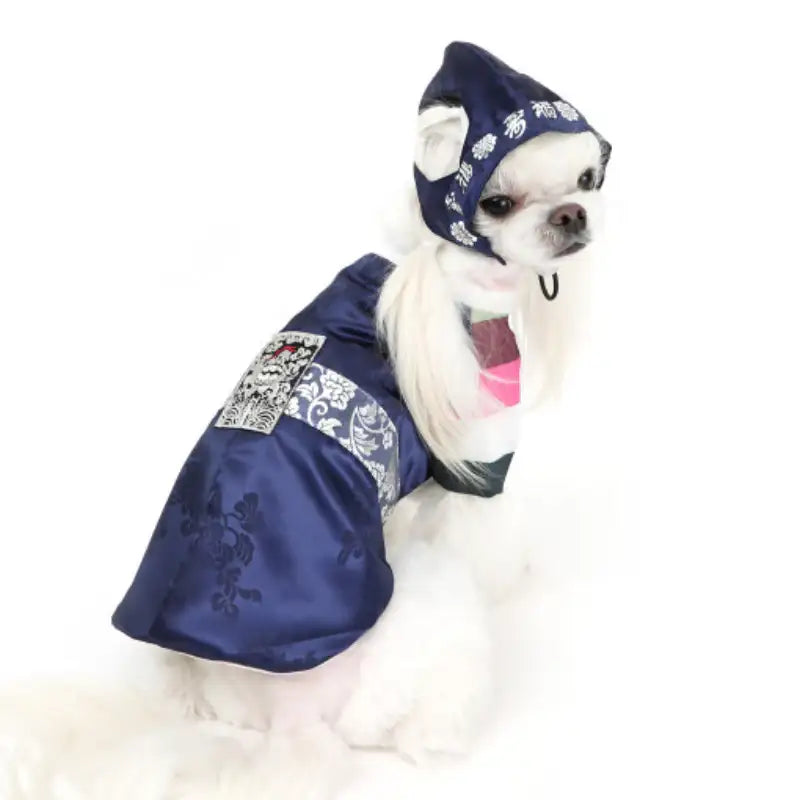 ITSDOG - Pet Prince Gunwoo Hanbok - ITSDOG - Pet Clothes - Harumio