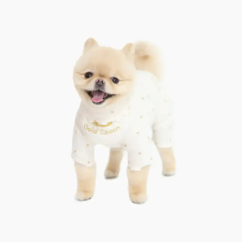 ITSDOG - Pet Gold Spoon All In One - ITSDOG - Pet Clothes - Harumio