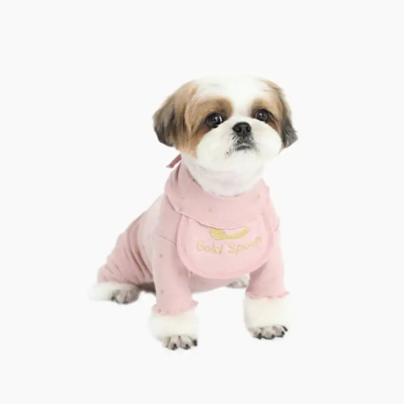 ITSDOG - Pet Gold Spoon All In One - ITSDOG - Pet Clothes - Harumio