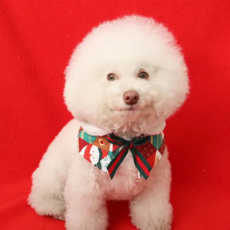ITSDOG - Pet I'm Santa Christmas Cape - ITSDOG - Pet Accesories - Harumio