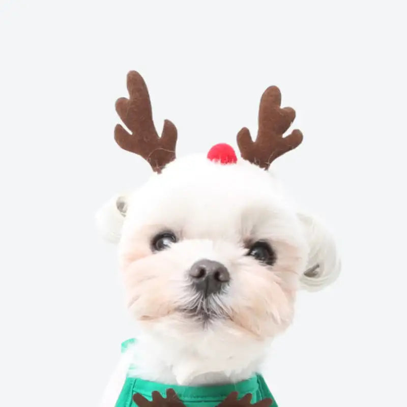 ITSDOG - Pet Christmas Hat - ITSDOG - Pet Accesories - Harumio