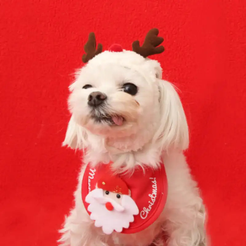 ITSDOG - Pet Christmas Bib - ITSDOG - Pet Accesories - Harumio