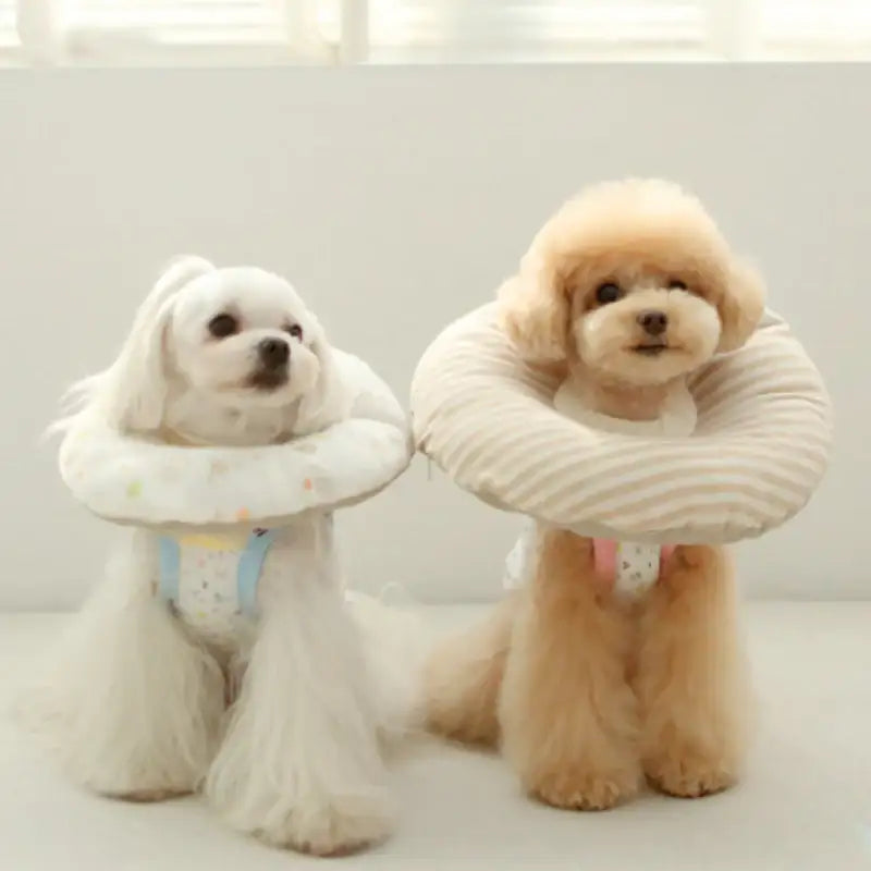 ITSDOG - Pet Organic Neck Collar - ITSDOG - Pet Accesories - Harumio
