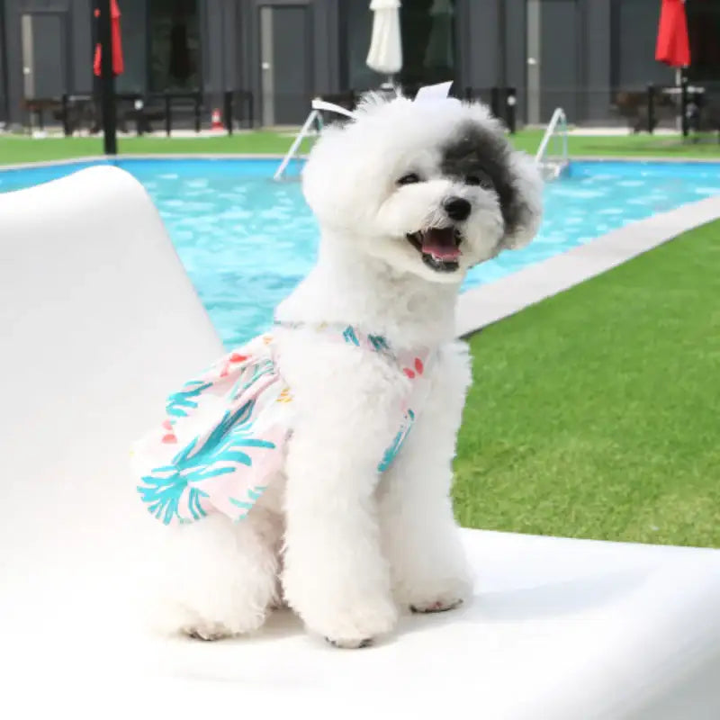 ITSDOG - Pet Sangria One Piece - ITSDOG - Pet Clothes - Harumio