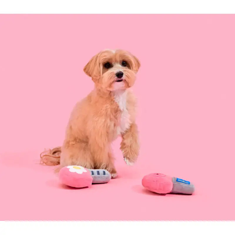 Wiggle Wiggle x Pethroom - Pet Cushion Bed - Wiggle Wiggle - Pet Cushion - Harumio