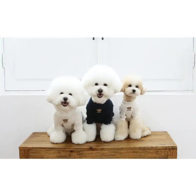 ITSDOG - Pet Bruno Knitted T-Shirt - ITSDOG - Pet Clothes - Harumio