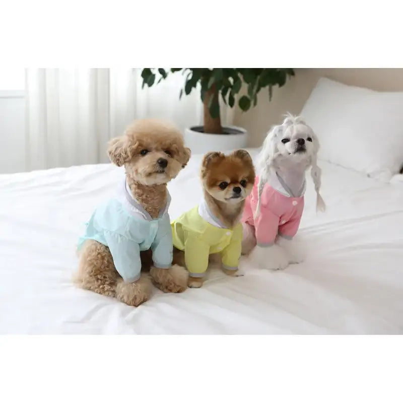 ITSDOG - Pet Pastel Windy Jumper - ITSDOG - Pet Clothes - Harumio