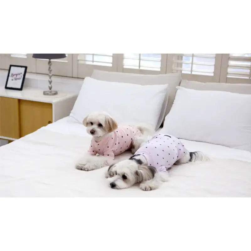 ITSDOG - Pet Heart T-Shirt - ITSDOG - Pet Clothes - Harumio