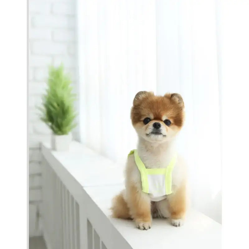 ITSDOG - Pet Fruit Sleeveless Crop Top - ITSDOG - Pet Clothes - Harumio