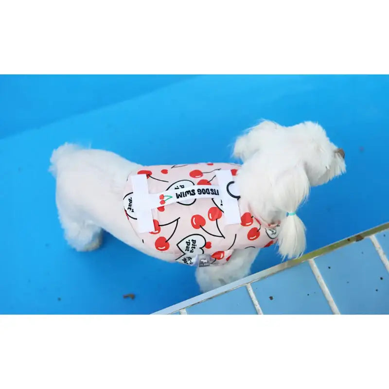 ITSDOG - Pet Life Jacket - ITSDOG - Pet Clothes - Harumio