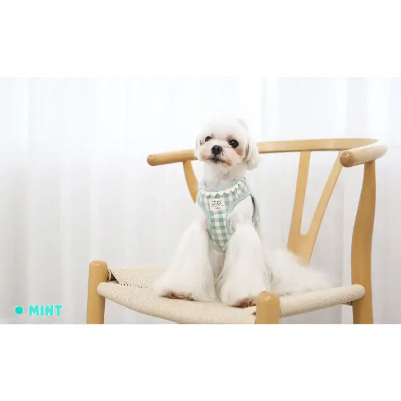 ITSDOG - Pet Heart Checked Harness - ITSDOG - Pet Accesories - Harumio