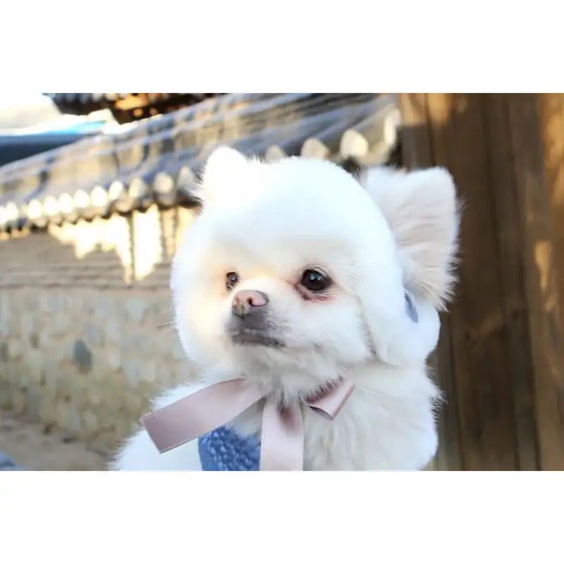 ITSDOG - Pet Narcissus Quilted Earmuffs - ITSDOG - Pet Accesories - Harumio