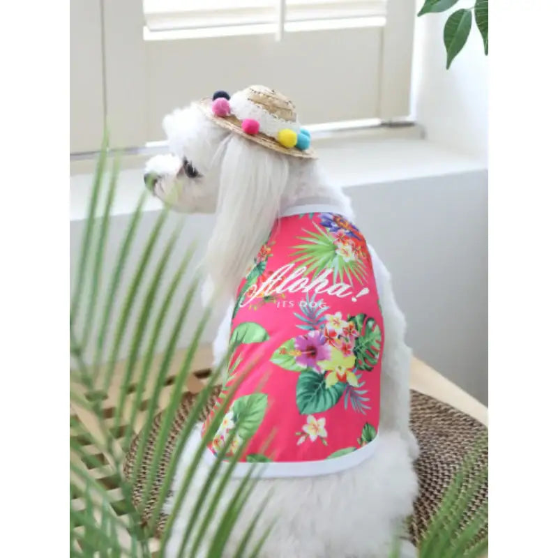 ITSDOG - Pet Aloha Rash Guard - ITSDOG - Pet Clothes - Harumio