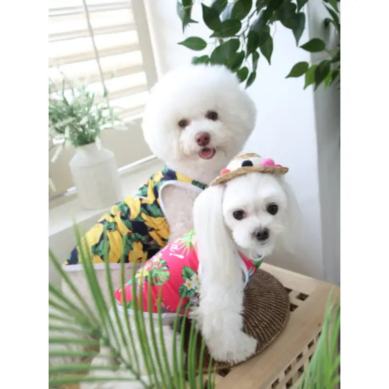 ITSDOG - Pet Aloha Rash Guard - ITSDOG - Pet Clothes - Harumio