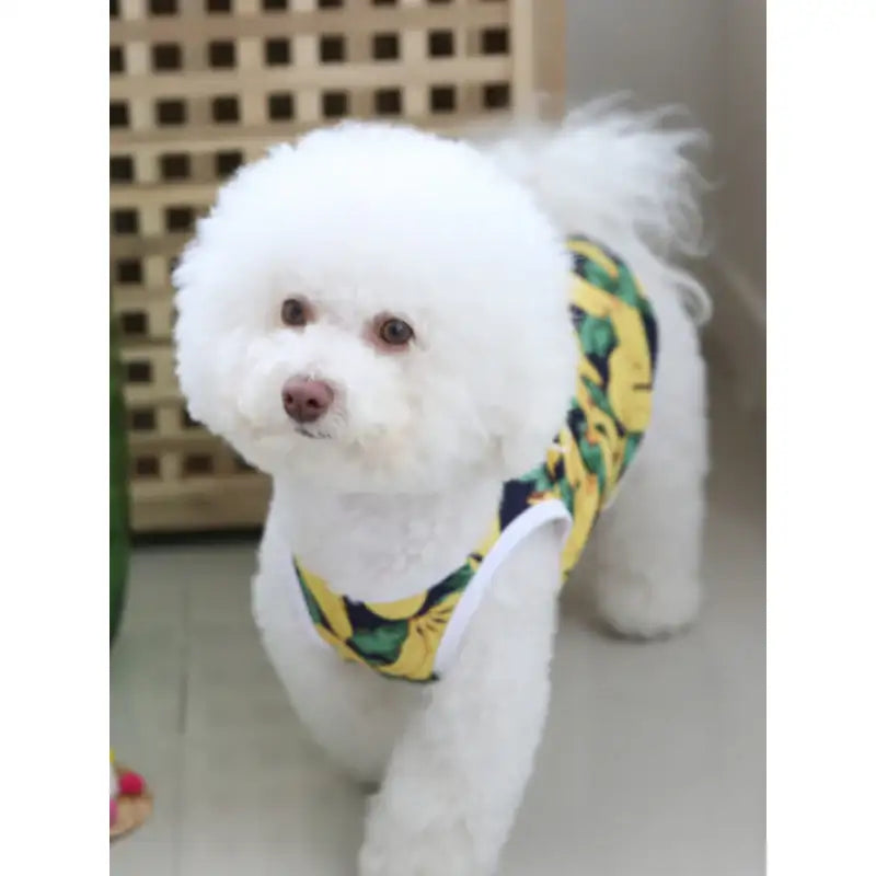 ITSDOG - Pet Aloha Rash Guard - ITSDOG - Pet Clothes - Harumio
