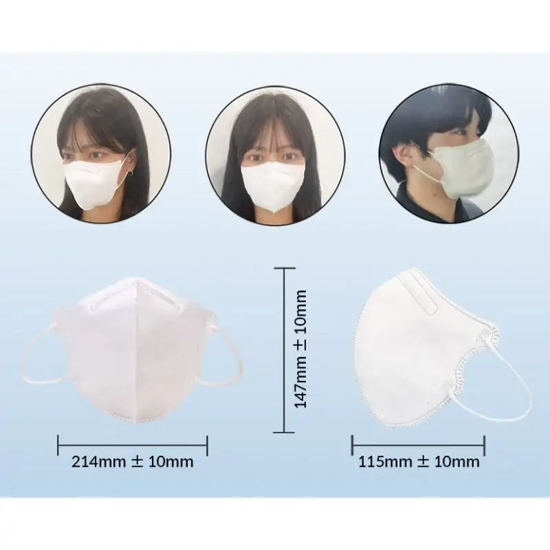 Lions - KF94 Face Mask - Lions - Accessories - Harumio