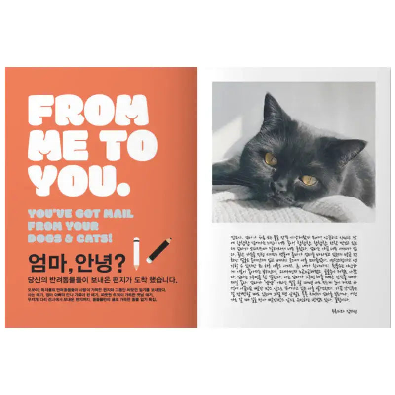 OhBoy! - No.112 - Magazine - Gooddog Publishing - Magazine - Harumio