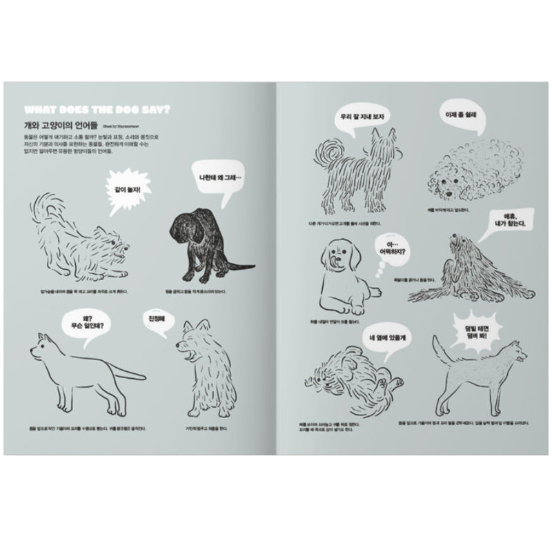 OhBoy! - No.112 - Magazine
