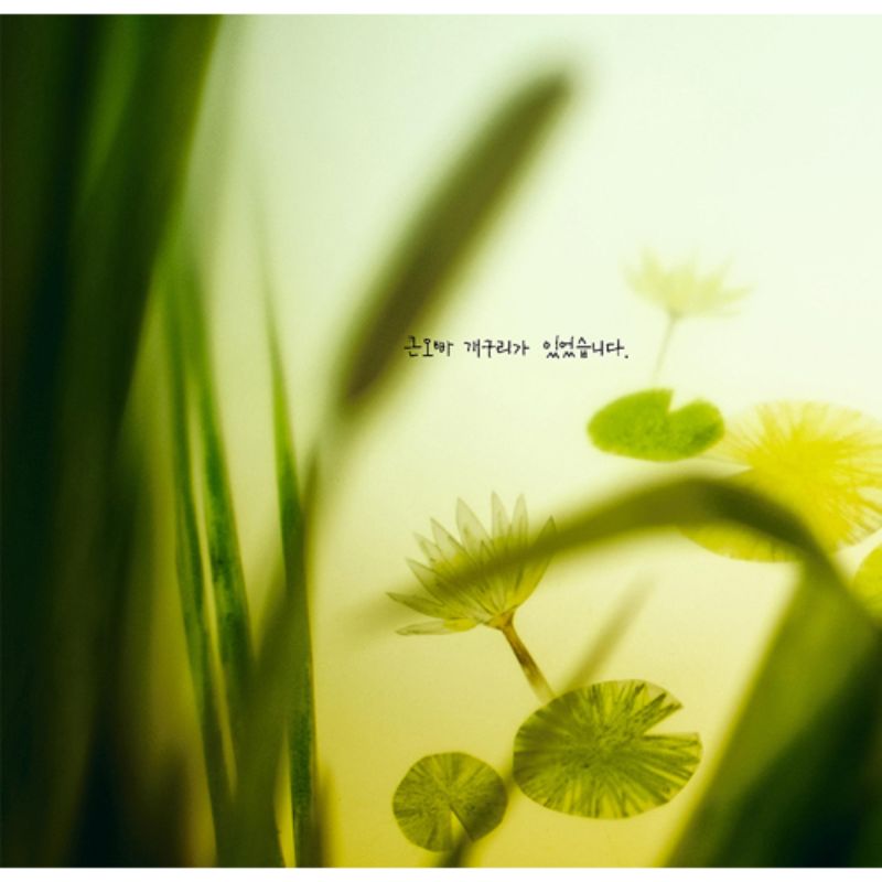 Baek Hee Na - Dungfly Tasted In A Dream