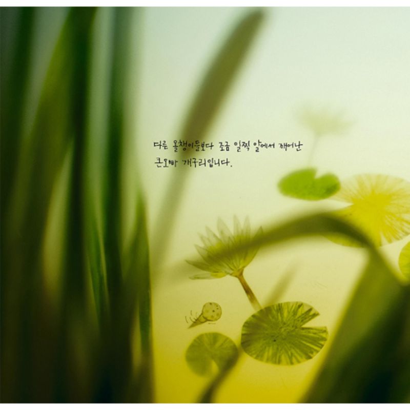 Baek Hee Na - Dungfly Tasted In A Dream