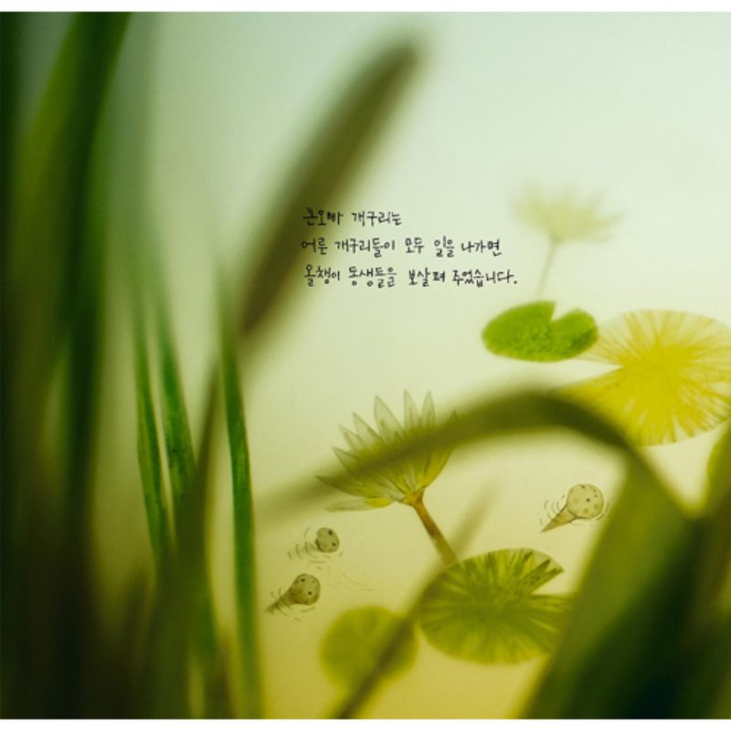 Baek Hee Na - Dungfly Tasted In A Dream