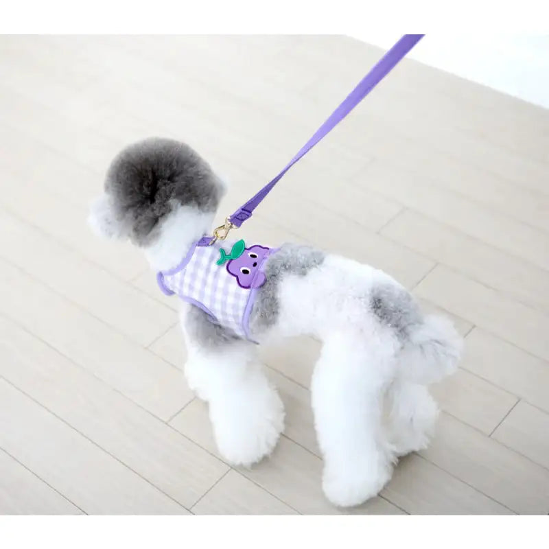 ITSDOG - Pet Jam Jam Peekaboo Harness - ITSDOG - Pet Accesories - Harumio